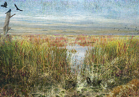 Skagit Delta: Wetlands by Carl Chew Skagit Delta: Wetlands by Carl Chew